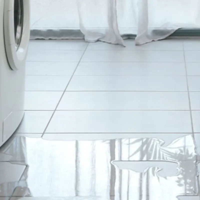 Appliance Leak Cleanup in Dayton, TN