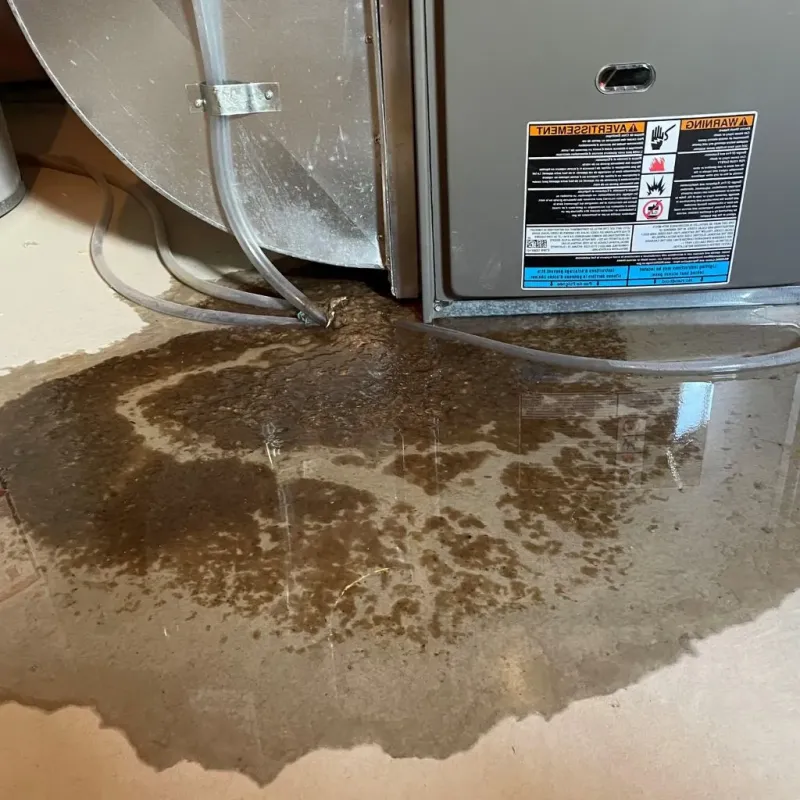 Pipe Burst and Leak Restoration in Dayton, TN
