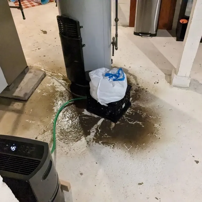 Sewage Backup Cleanup Service in Dayton, TN